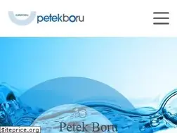 Sites similar to petekboru.com.tr
