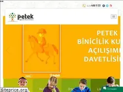 Sites similar to petekkoleji.com
