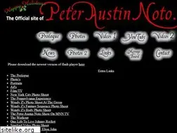 Sites similar to peteraustinnoto.com