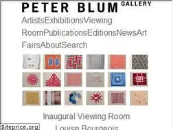 Sites similar to peterblumgallery.com
