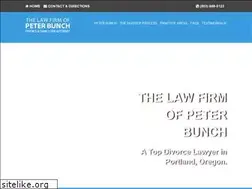 Sites similar to peterbunchlaw.com
