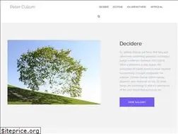Sites similar to petercullum.com