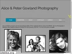 Sites similar to petergowland.com