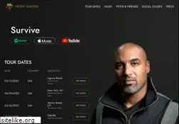 Sites similar to peterharperart.com