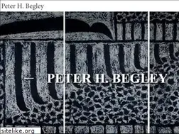 Sites similar to peterhbegley.com