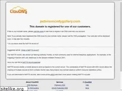 Sites similar to petersoncodygallery.com
