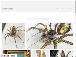 Sites similar to peterszucsy.com