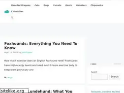 Sites similar to petfoodfuss.com