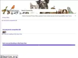Sites similar to petforums.co.uk