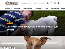 Sites similar to petguru.ru