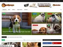 Sites similar to petipanya.com