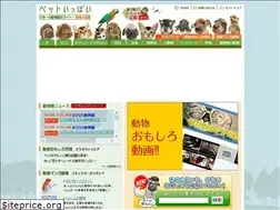 Sites similar to petippai.com