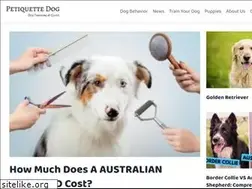 Sites similar to petiquettedog.com