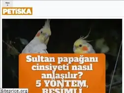 Sites similar to petiska.com