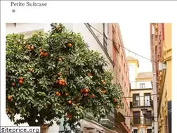 Sites similar to petitesuitcase.com