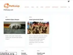 Sites similar to petkulup.com