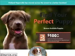 Sites similar to petlandaurora.com