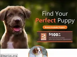Sites similar to petlandbatavia.com