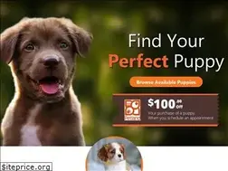 Sites similar to petlandbolingbrook.com