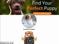 Sites similar to petlanddunwoody.com