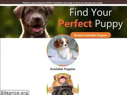 Sites similar to petlandfortmyers.com