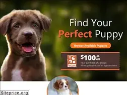 Sites similar to petlandhenderson.org