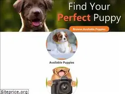 Sites similar to petlandkennesaw.com