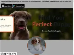 Sites similar to petlandlasvegas.com