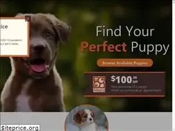 Sites similar to petlandorlandosouth.com