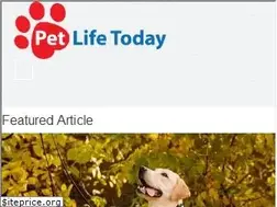Sites similar to petlifetoday.com