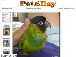 Sites similar to petoftheday.com
