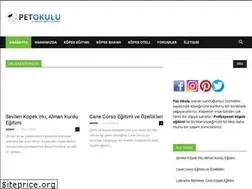 Sites similar to petokulu.net