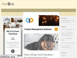 Sites similar to petorb.com