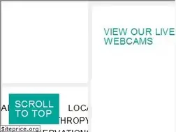 Sites similar to petparadise.com