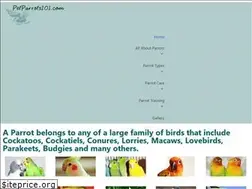 Sites similar to petparrots101.com