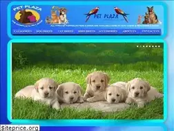 Sites similar to petplaza.co.in