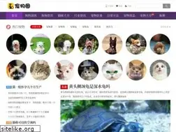 Sites similar to petquan.cn