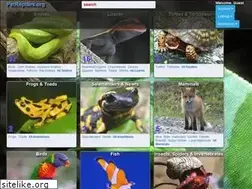Sites similar to petreptiles.org