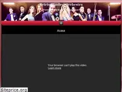 Sites similar to petricaandreiorchestra.ro