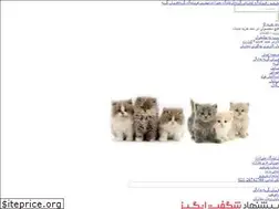 Sites similar to petrizo.com