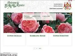 Sites similar to petrovicroses.rs