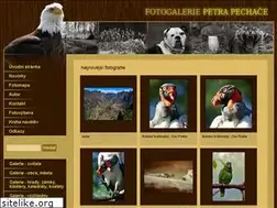 Sites similar to petrpechac.cz