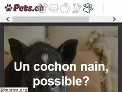 Sites similar to pets.ch