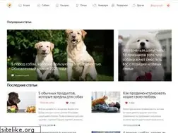 Sites similar to pets2.me