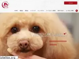 Sites similar to petsalon-chere.com