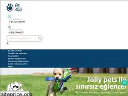 Sites similar to petsandmore.com.tr