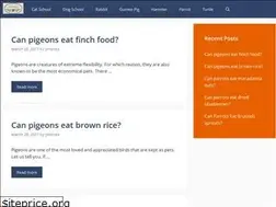Sites similar to petschoolclassroom.com