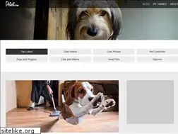 Sites similar to petset.com