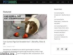 Sites similar to petshoods.com