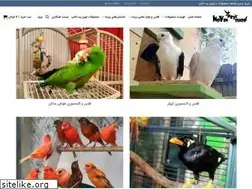 Sites similar to petshoppet.ir